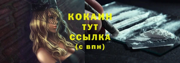 дживик Белоозёрский
