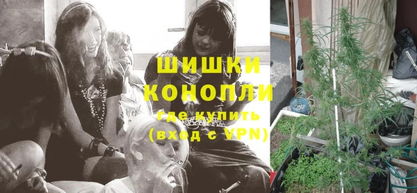 Альфа ПВП Белокуриха