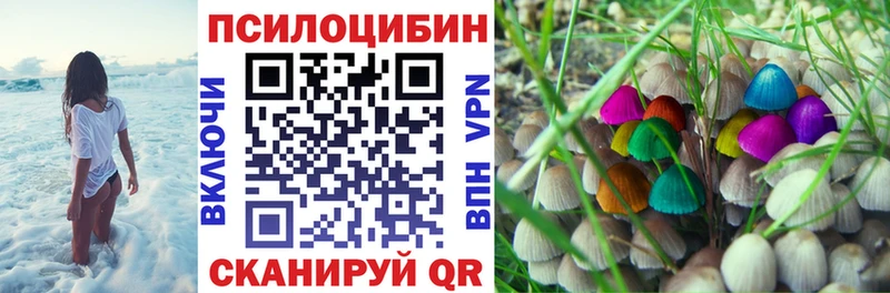 купить Буинск Псилоцибиновые грибы мицелий